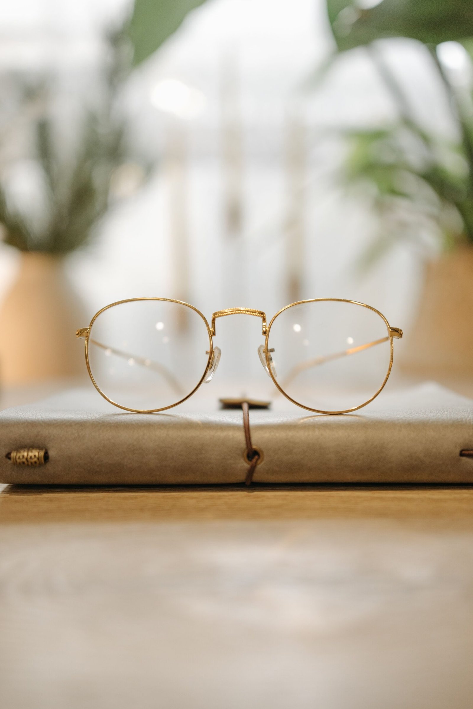 Close-up of stylish round glasses on a notebook with plants in the background.